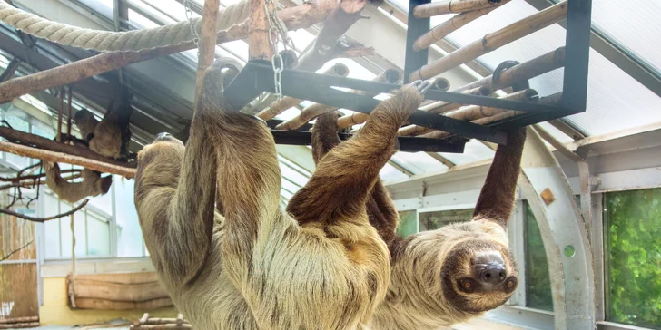 1denní výlet do Budapešti vč. dopravy autobusem: Tropicarium a zoo
