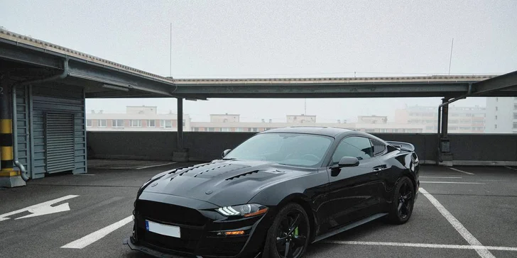 Zapůjčení Fordu Mustang, Mercedesu C63 AMG či BMW M4 na 24hod nebo celý víkend