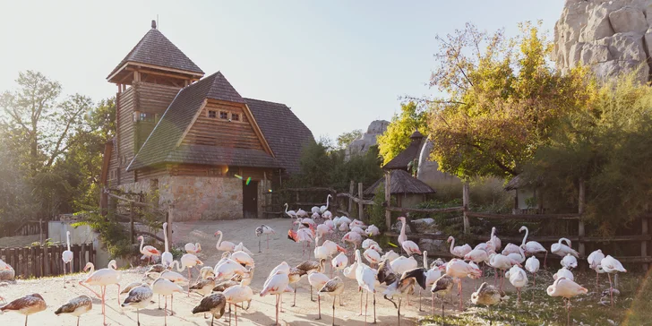 1denní výlet do Budapešti vč. dopravy autobusem: Tropicarium a zoo