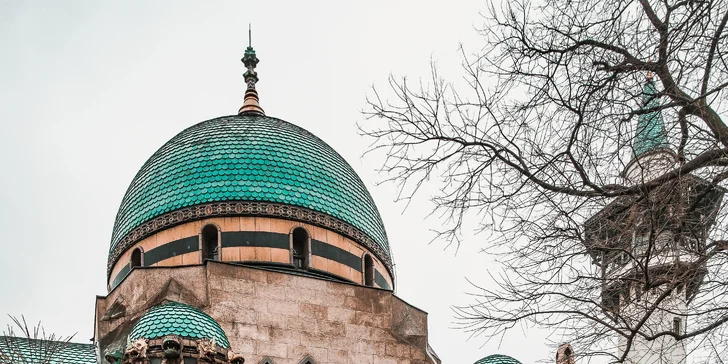 1denní výlet do Budapešti vč. dopravy autobusem: Tropicarium a zoo