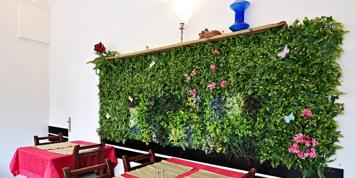 Klasické i vegetariánské indické menu na pražském Motole pro 1 i 2 osoby