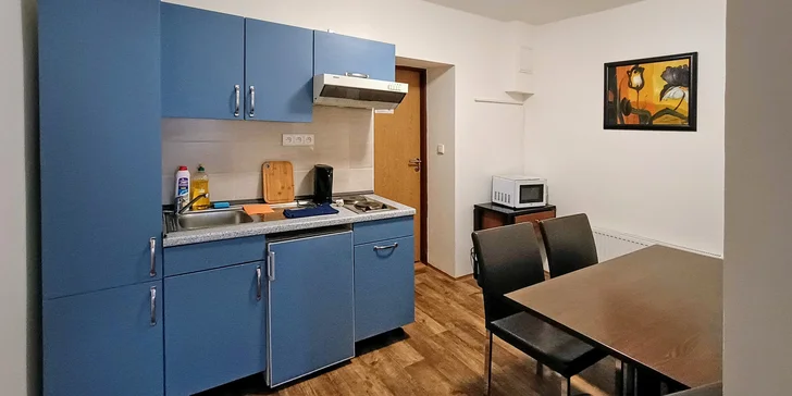 Pohoda 3 km od Karlových Varů až pro 4 osoby: apartmány s kuchyňkou