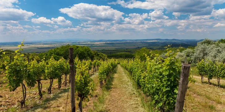 Wellness dovolená ve stylovém penzionu na Dolním Zemplíně