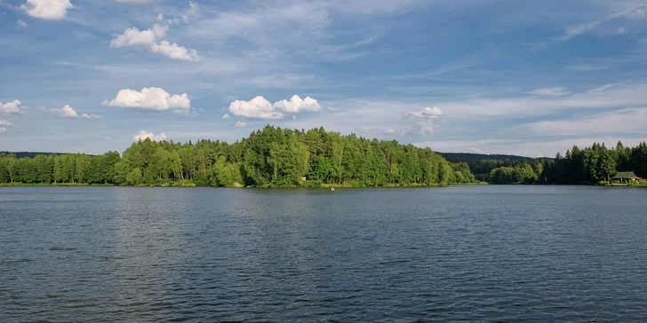 Dovolená v Železných horách: vila nebo chatka, venkovní bazén a wellness, varianty se snídaní