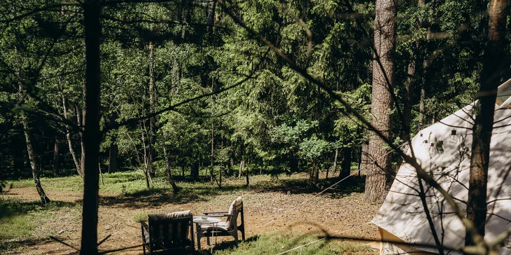 Glampingové stany u lesa: prosecco, snídaně i grilovací koš a výhled na hvězdy přímo z postele