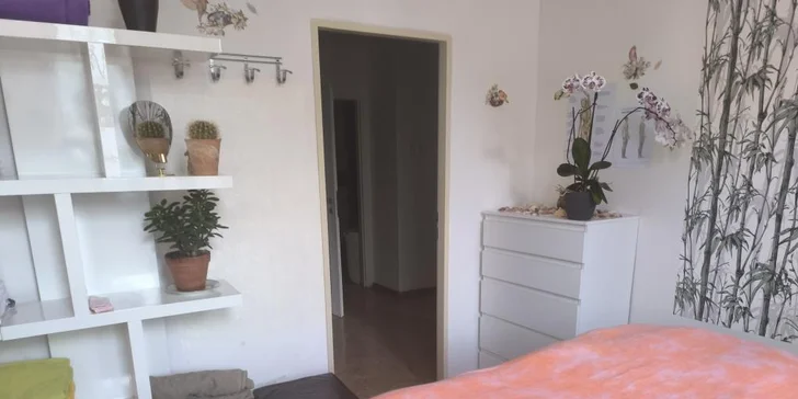 Relaxační, manuální lymfatická nebo anticelulitidní masáž: 30-90 min.
