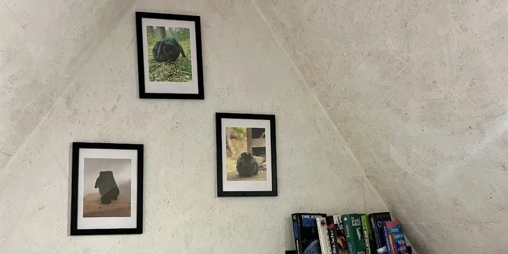 K dispozici máte také knížky, deskovky a petanque.