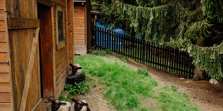Skvělý odpočinek pro páry i rodiny: snídaně a relax v bazénech a saunách