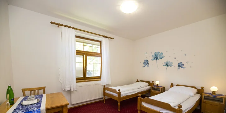 Hotel ve Vranově nad Dyjí: originální design, restaurace a zámek na dosah