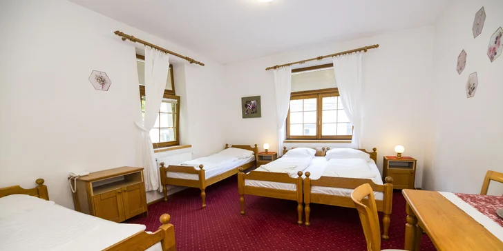 Hotel ve Vranově nad Dyjí: originální design, restaurace a zámek na dosah