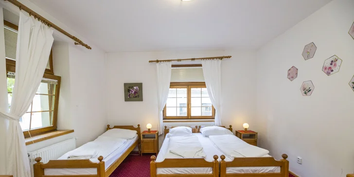 Hotel ve Vranově nad Dyjí: originální design, restaurace a zámek na dosah