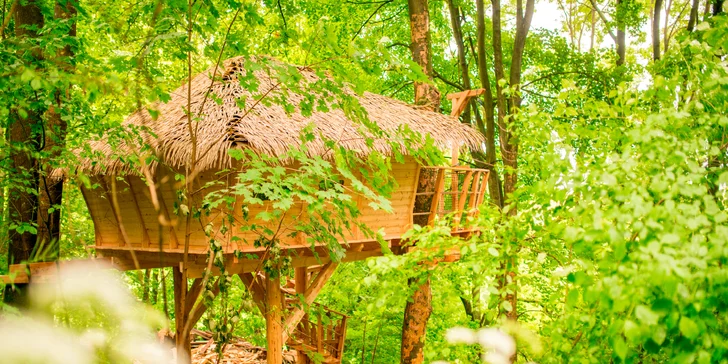 Romantika i dobrodružství: domek v korunách stromů a snídaně, 4 km od Ještědu