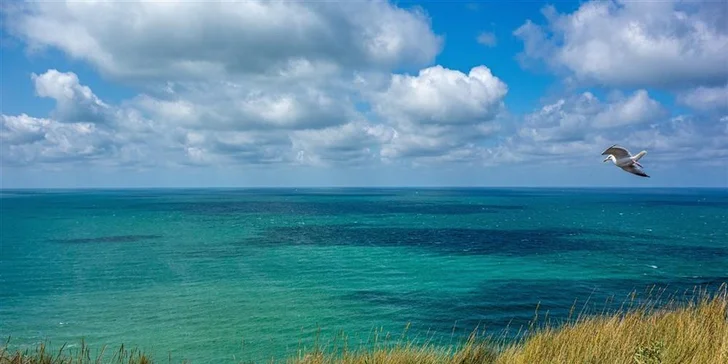 Poznávací zájezd do Normandie vč. hotelu se snídaní a dopravy: památky i koupání