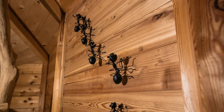 Tree house na kraji Brna: ubytování v souladu s přírodou i úniková šifrovací hra pro zábavu