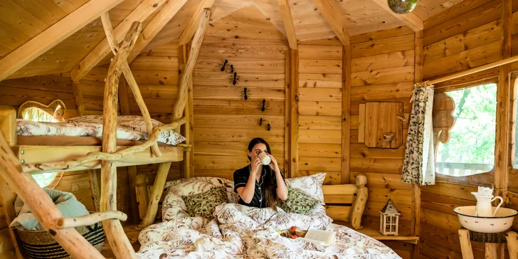 Tree house na kraji Brna: ubytování v souladu s přírodou i úniková šifrovací hra pro zábavu