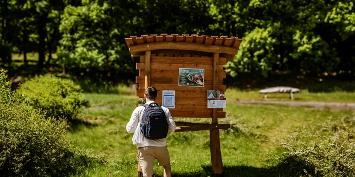 Tree house na kraji Brna: ubytování v souladu s přírodou i úniková šifrovací hra pro zábavu