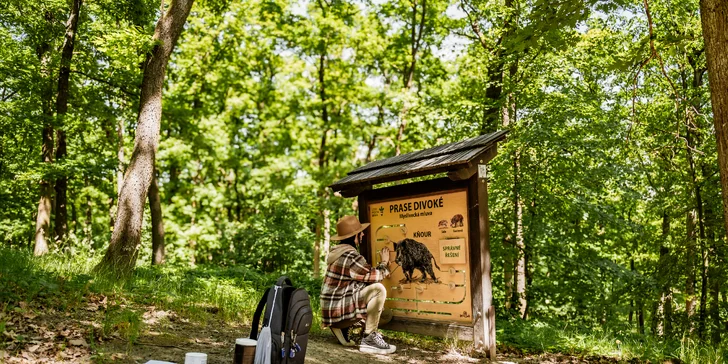 Tree house na kraji Brna: ubytování v souladu s přírodou i úniková šifrovací hra pro zábavu