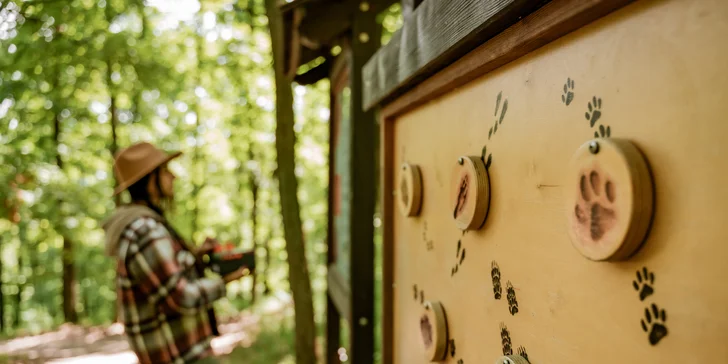 Tree house na kraji Brna: ubytování v souladu s přírodou i úniková šifrovací hra pro zábavu
