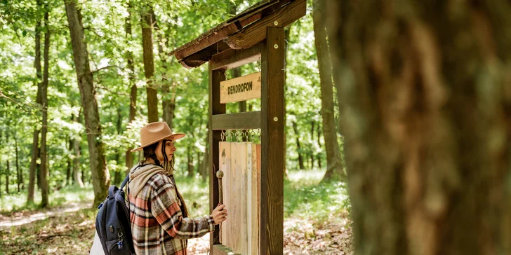 Tree house na kraji Brna: ubytování v souladu s přírodou i úniková šifrovací hra pro zábavu