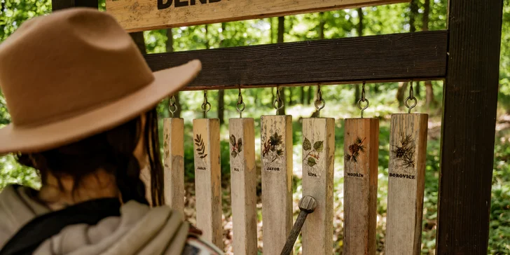 Tree house na kraji Brna: ubytování v souladu s přírodou i úniková šifrovací hra pro zábavu