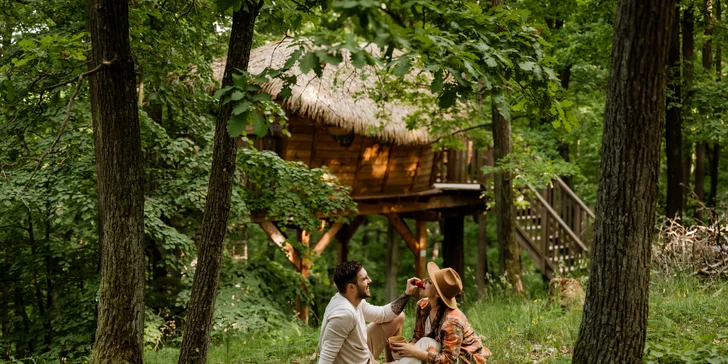 Tree house na kraji Brna: ubytování v souladu s přírodou i úniková šifrovací hra pro zábavu