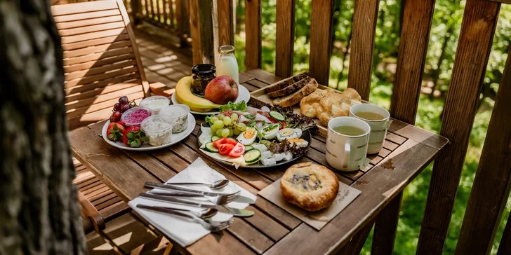 Tree house na kraji Brna: ubytování v souladu s přírodou i úniková šifrovací hra pro zábavu