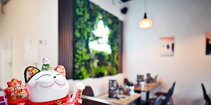 Asijské hlavní jídlo výběrem ze 7 druhů či celé obědové menu pro 1 i 2 osoby