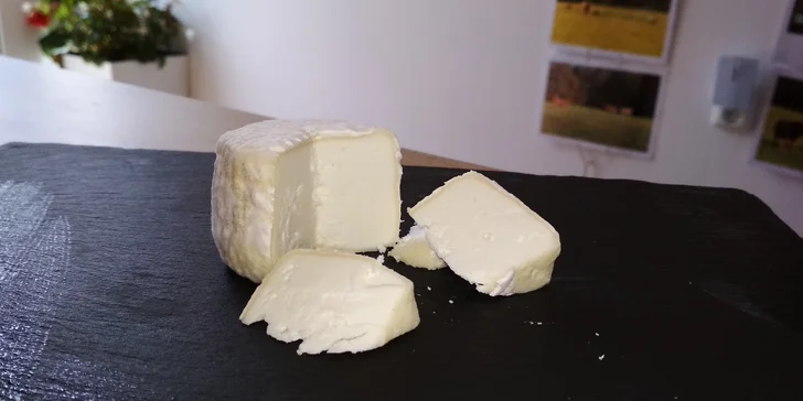 Pasení koz, prohlídka stájí i ochutnávka sýrů: exkurze na farmě pro 2 osoby i celou rodinu