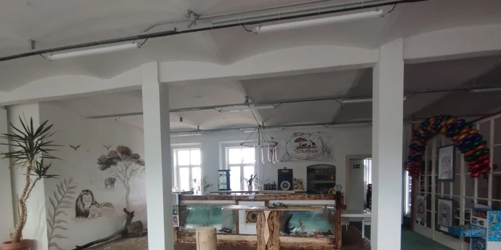 Vstupy do parádní dětské herny Savana pro děti od 1,5 do 14 let