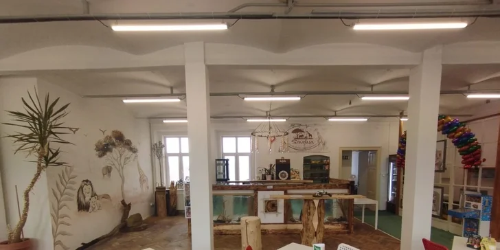Vstupy do parádní dětské herny Savana pro děti od 1,5 do 14 let