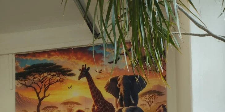 Vstupy do parádní dětské herny Savana pro děti od 1,5 do 14 let