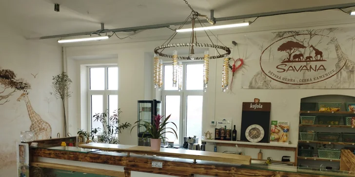 Vstupy do parádní dětské herny Savana pro děti od 1,5 do 14 let