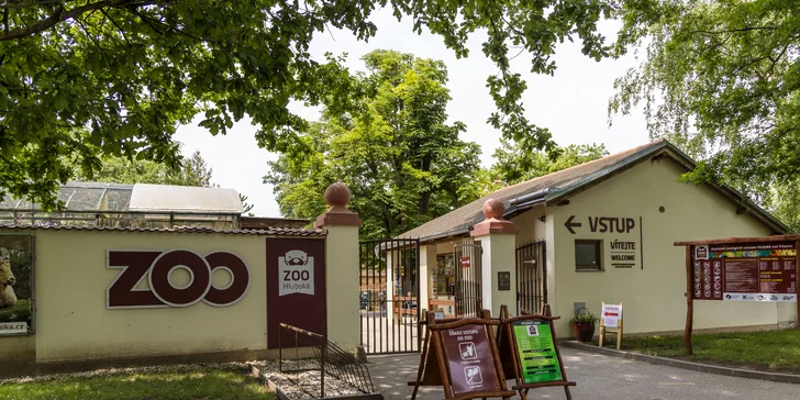 Pobyt v Hluboké nad Vltavou s polopenzí i wellness: hotel pod zámkem v blízkosti golfu