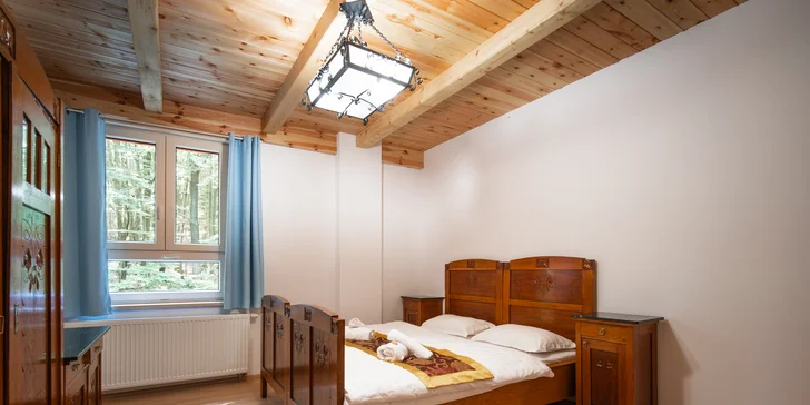 Spaní na peci a relax v sauně i koupacím sudu: luxusní apartmány uprostřed lesů v Jeseníkách
