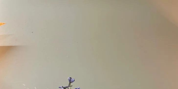Vázání i vypichování kytic či kurz Na den floristkou vč. pomůcek a materiálů