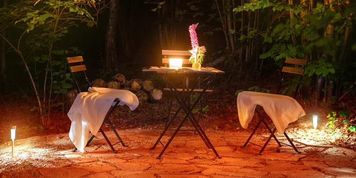 Tiny house na Vysočině: krásná lokalita na samotě, sauna, gril a komfortní vybavení