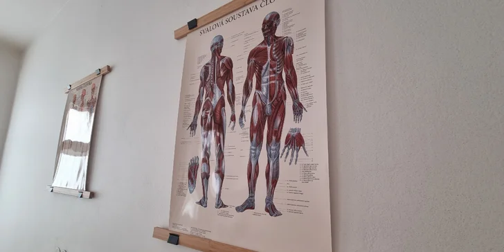 Úleva od bolesti: masáže na 35 až 110 minut včetně rehabilitačního poradenství