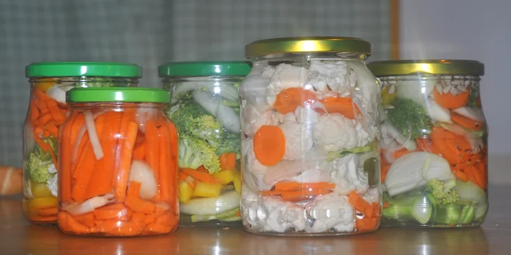 Online kurz kvašení zeleniny: téměř 100 min. teorie i praxe