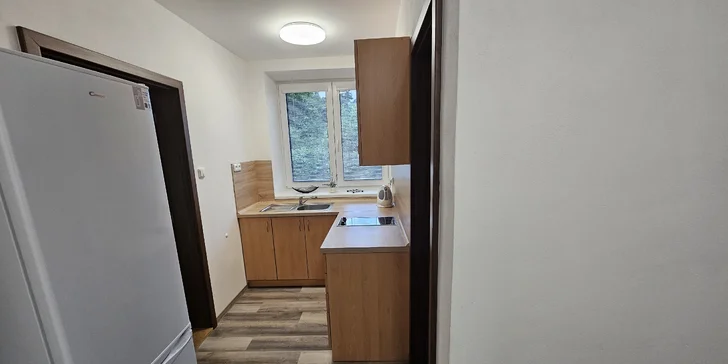 Rodinná dovolená na Šumavě: útulné apartmány až pro 7 osob, výlety do přírody i na zámek