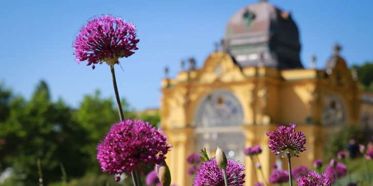 Pobyt ve 4* hotelu v Mariánských Lázních: jídlo, vyhřívaný bazén i wellness procedury