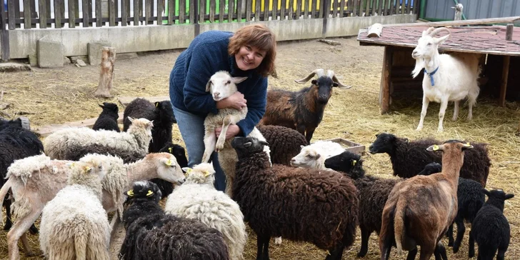 Prohlídka farmy s povídáním a krmením zvířátek i farmářem na zkoušku až pro 4 děti