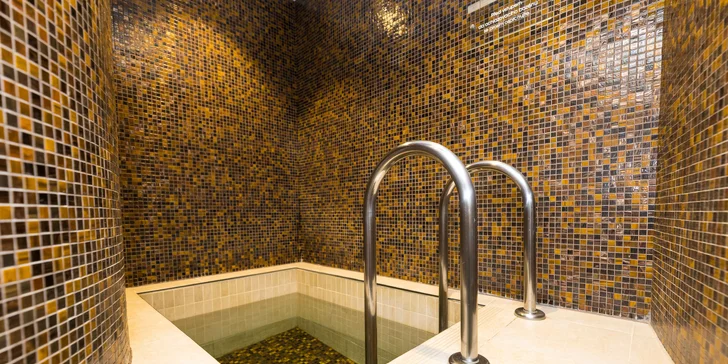 Luxusní pobyt v Hluboké nad Vltavou: 5* hotel u zámku s wellness a jídlem