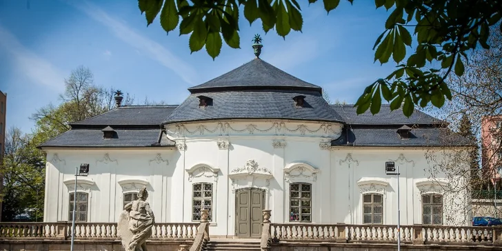 Vstupenky na výstavu Honba za přízraky v Letohrádku Mitrovských