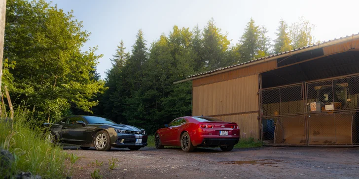 Pronájem Chevroletu Camaro Bumblebee i BodyKit SS: 3 hod. až 3 dny