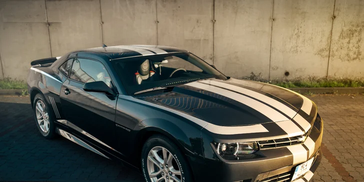 Pořádná rychlost: spolujízda nebo řízení Chevroletu Camaro Bumblebee či BodyKit SS