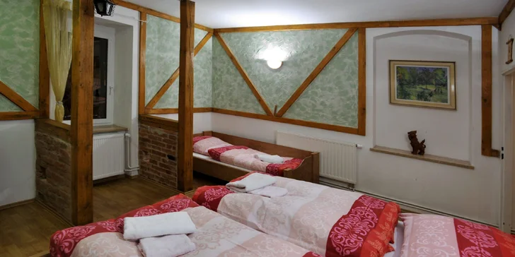 Krušné hory i s jídlem: vybavený apartmán nebo chalupa až pro 14 osob