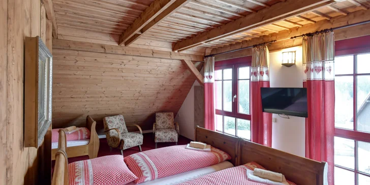 Krušné hory i s jídlem: vybavený apartmán nebo chalupa až pro 14 osob