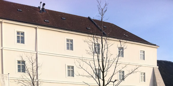Hotel v klášteře ze 17. století s výhledem na Dunaj: snídaně a wellness, děti zdarma