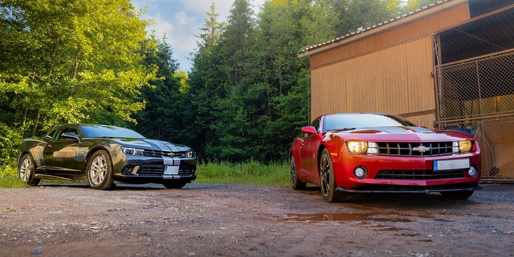 Pořádná rychlost: spolujízda nebo řízení Chevroletu Camaro Bumblebee či BodyKit SS