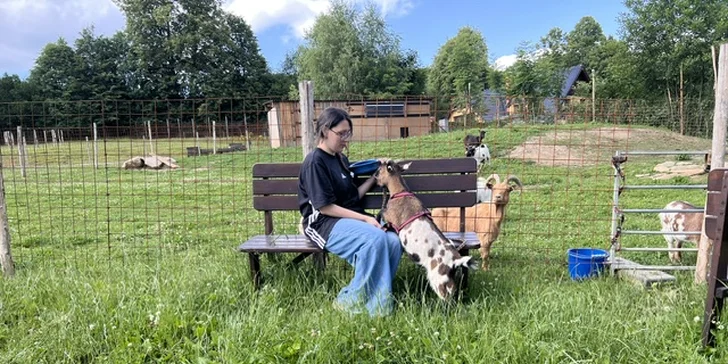 Procházka s kozou či koněm a pasení mini prasátek nebo ovcí na farmě v Jeseníkách